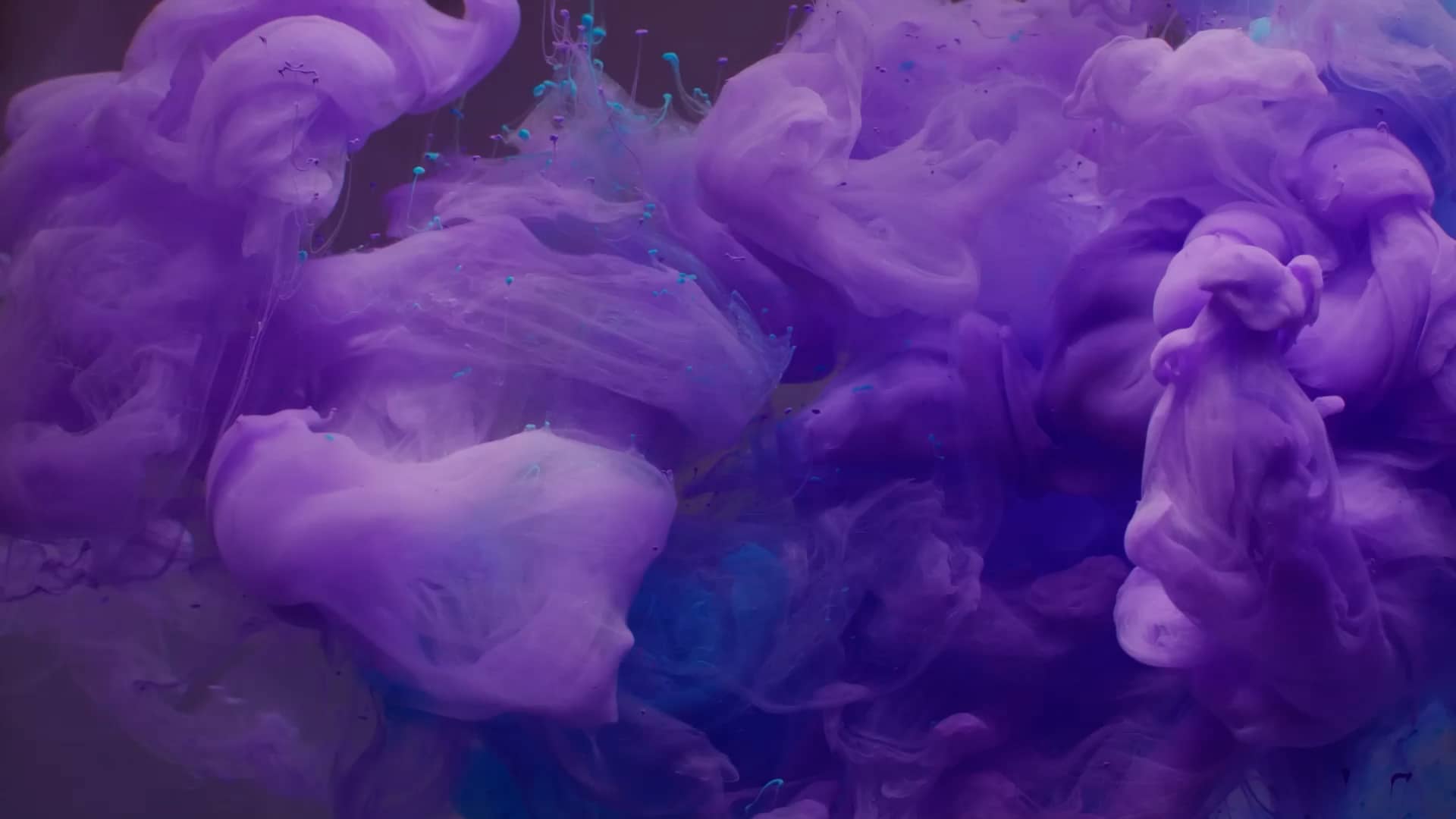 Worship 23 Colormix Church Motion Graphics