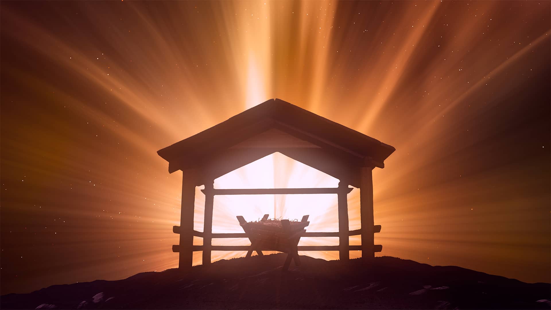 Christmas Manger Collection by Lifescribe Media: 4