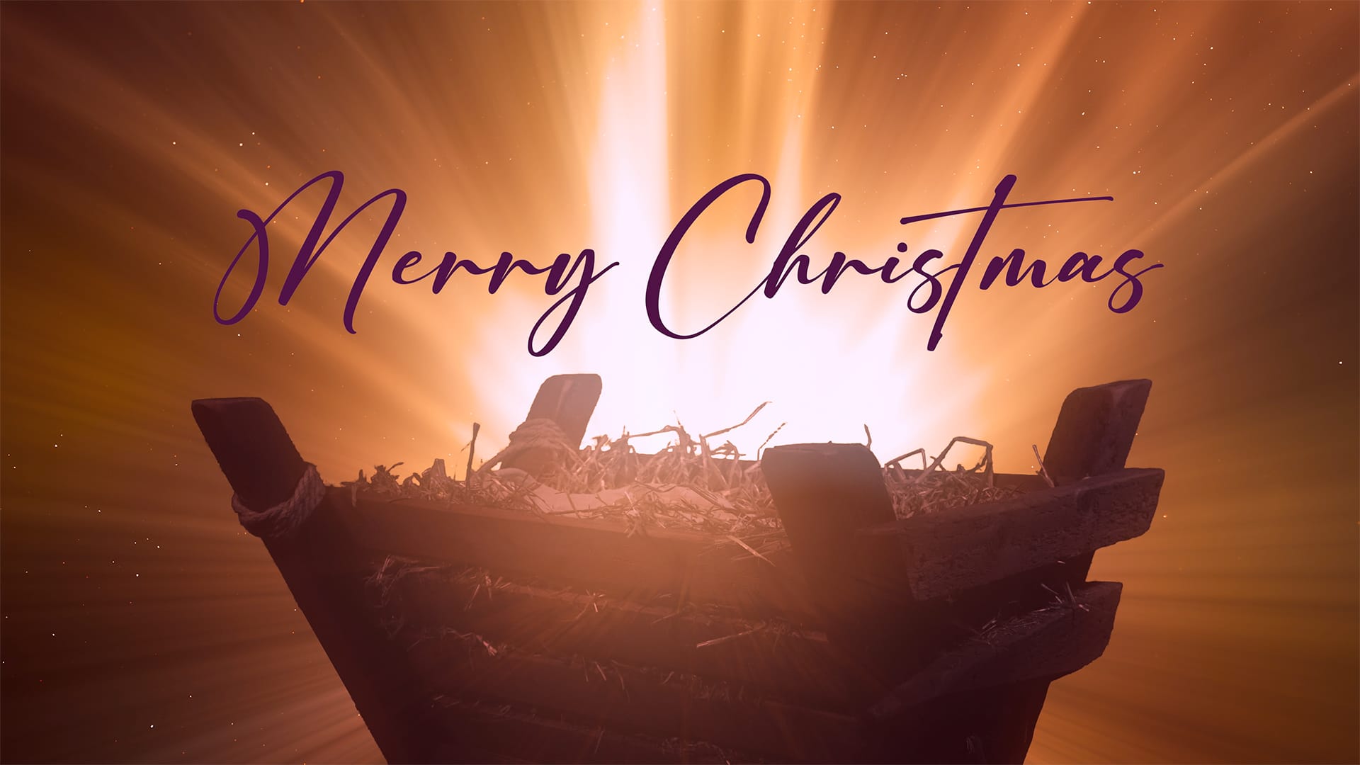 Christmas Manger Collection by Lifescribe Media: Merry Christmas