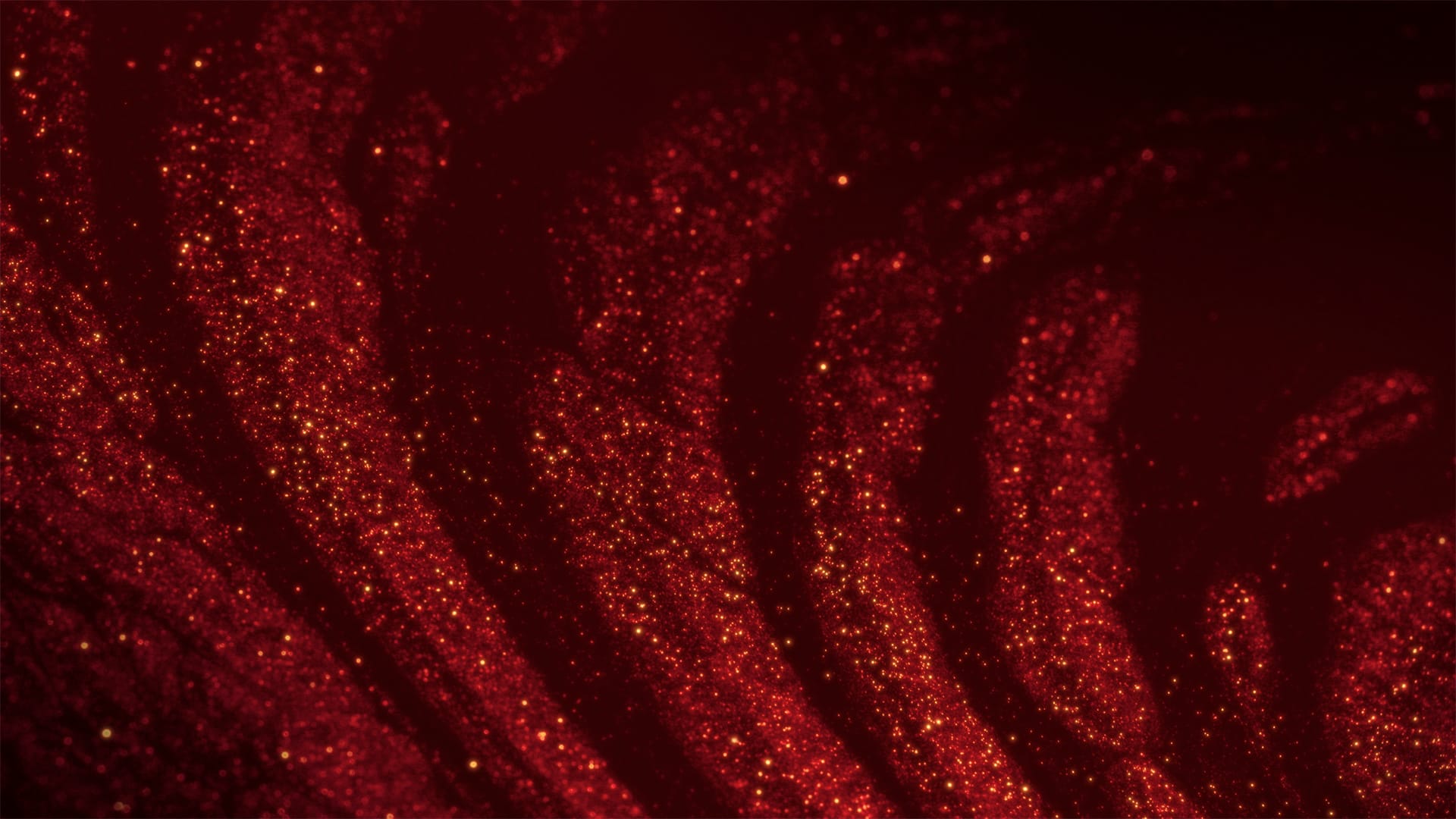 Sparkling Christmas Collection: Motion Background 8