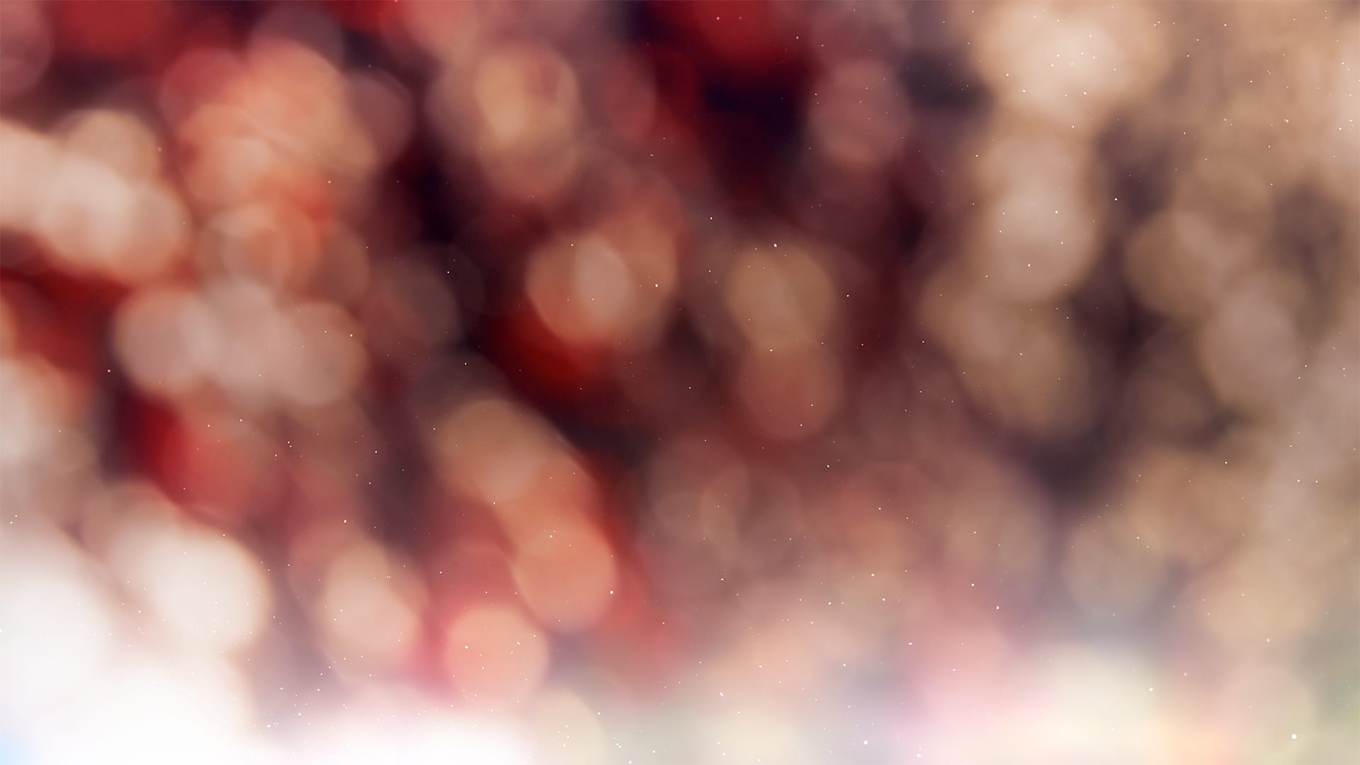Christmas Light Collection by Lifescribe Media: 8