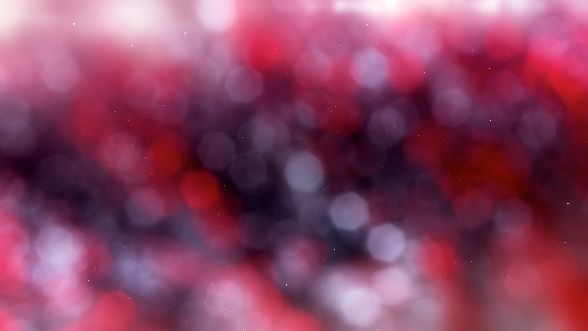 Christmas Light Collection by Lifescribe Media: 12