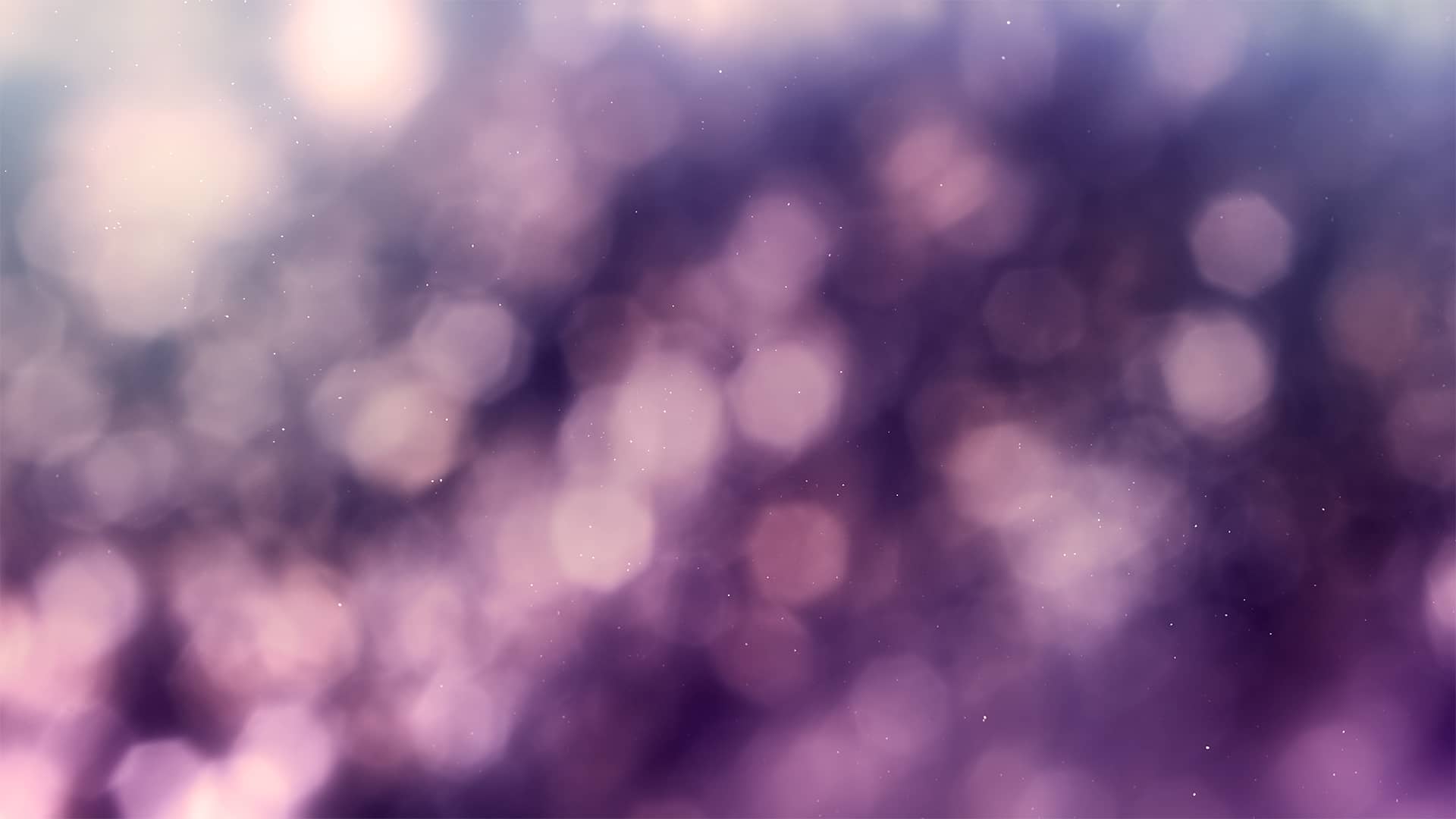 Christmas Light Collection by Lifescribe Media: 11