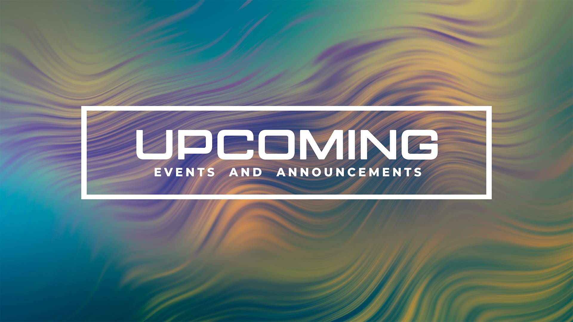 Luminance Collection by Lifescribe Media: Announcements