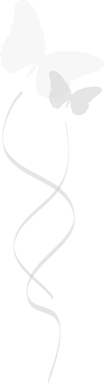 Two Butterflies Flying