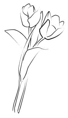 Tulip Pair in Loose Bouquet