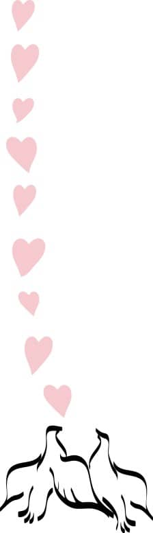 String of Hearts Above Two Doves