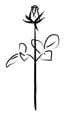 Black and White Sketched Rose