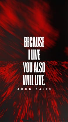 Easter At Your Church - Bright Vortex Scripture 2: Social Story