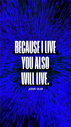 Easter At Your Church - Bright Vortex Scripture 3: Social Story