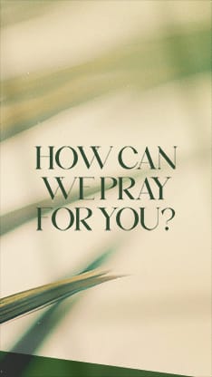 Palm Sunday - Green Palm Branches Prayer: Social Story