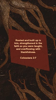 Rooted Rustic Roots - Scripture 1: Social Story