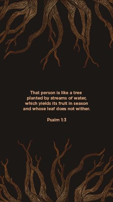 Rooted Rustic Roots - Scripture 2: Social Post