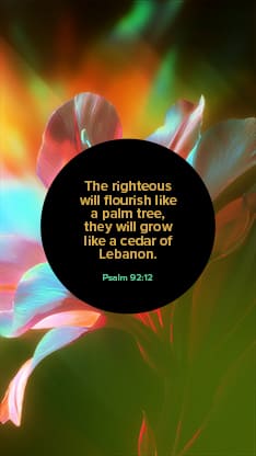Flourish Neon Flower - Scripture 1: Social Story