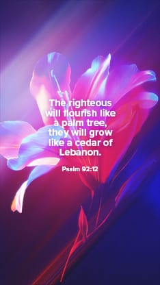 Flourish Neon Flower - Scripture 2: Social Story