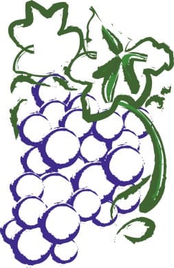 Brushstroke Grapes