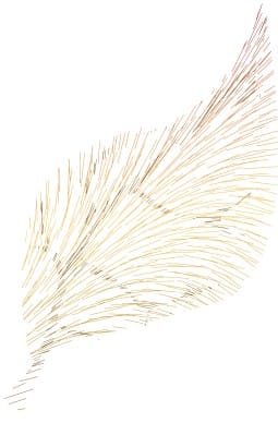 Spraying Lines Abstract Leaf