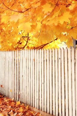 Fall Colors Christian Stock Photos