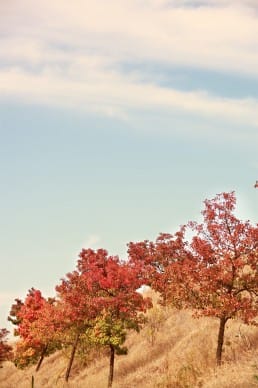 Autumn Scenery Religious Stock Photos