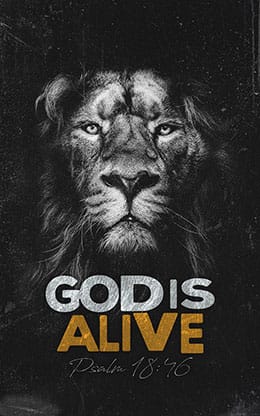 God is Alive: Bifold Bulletin Cover