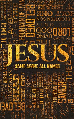 Jesus Name Above All Names: Bifold Bulletin Cover