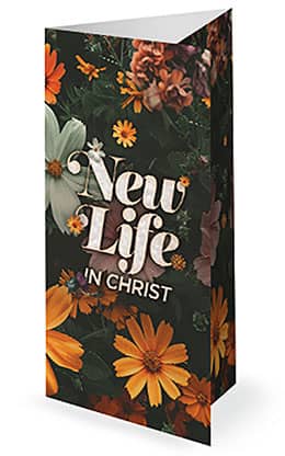 New Life in Christ: Trifold Bulletin Cover