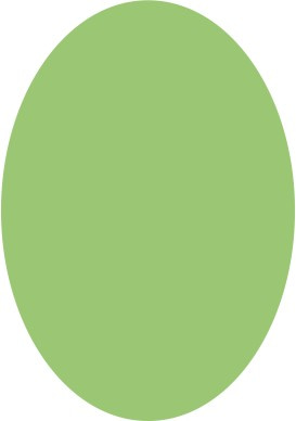 1177446141127_1605