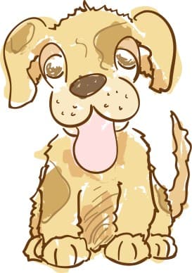 Cute Brown Puppy