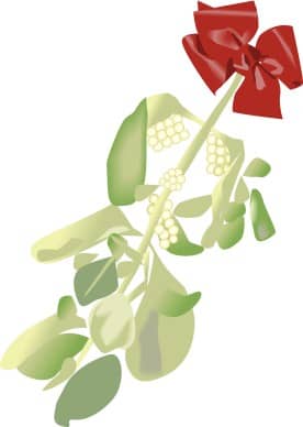 Christmas Mistletoe Hung with a Red Bow