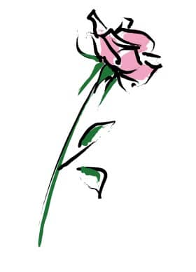 Stylized Pink Rose