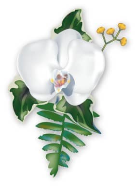 Orchid Corsage for Summer Celebration