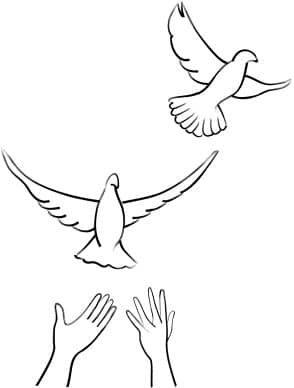 Two Released Doves