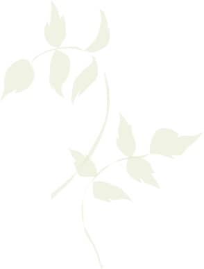 Two Pale Green Branches