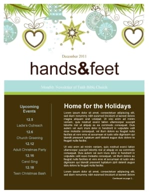 Ornaments Christmas Newsletter