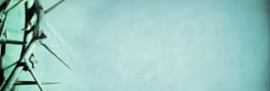 Thorns Website Banner