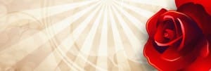 Red Rose Website Banner