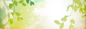 Garden Website Banners