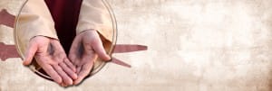 Risen Lamb Website Banner