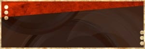 Gold Dots Website Banner