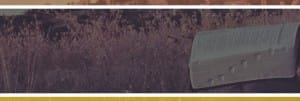 Seeking God Website Banner