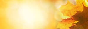 Thanksgiving Celebrate God's Goodness Christian Website Banner