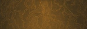 Rooted Ministry Website Banner