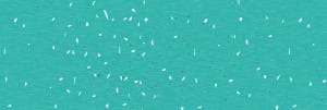 New Year's Greeting Church Website Banner