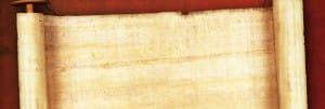Scroll Website Banner