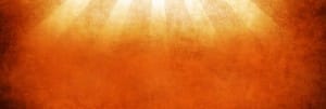 Rays Website Banner