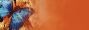 Butterfly Website Banner