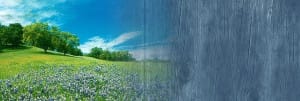 Nature Website Banner