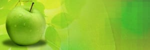 Fruit of the Spirit Website Banner