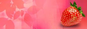 Strawberry Website Banner