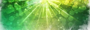 Spring Color Website Banner